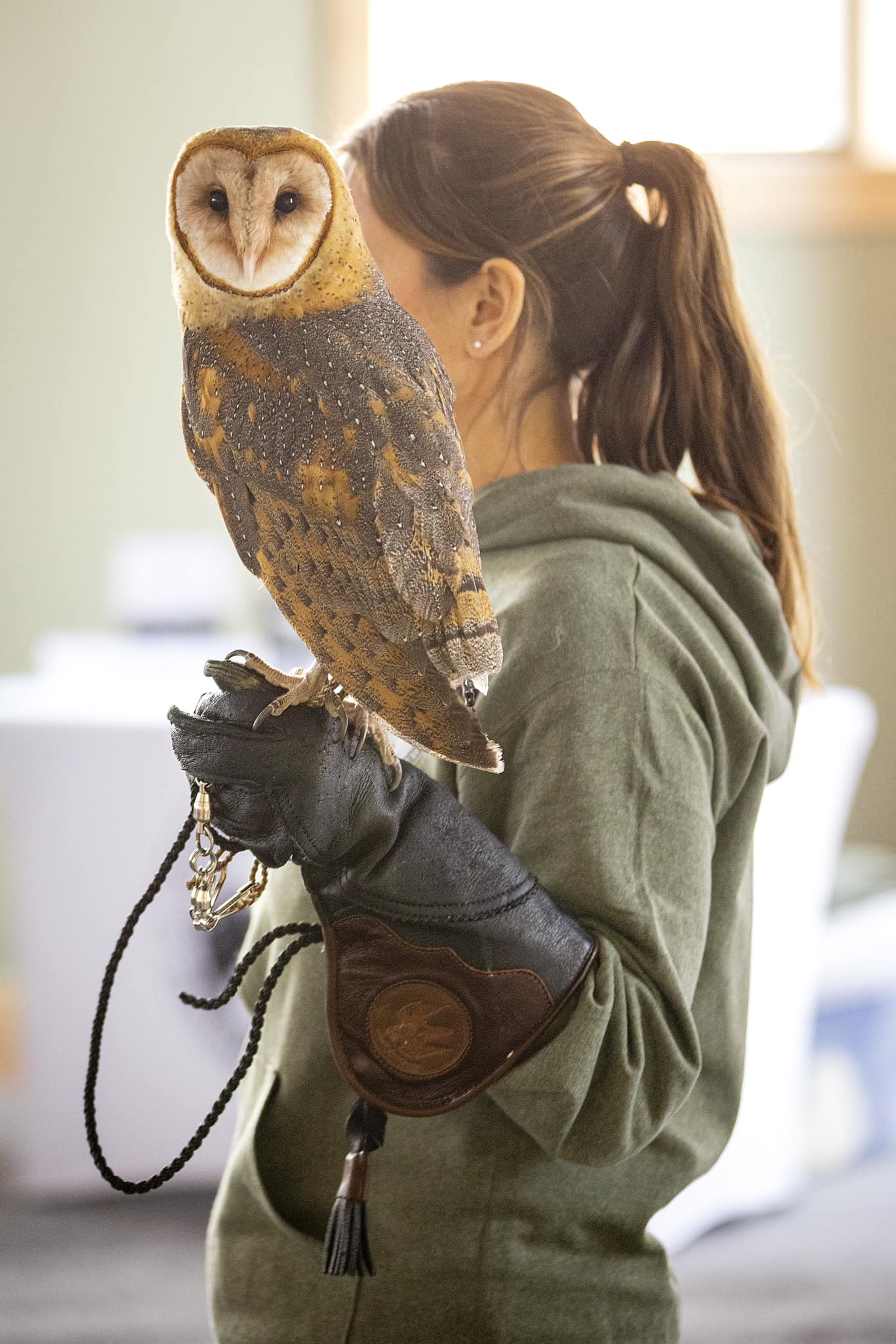  Climate Cafe 1/4/2025-Wild about Wildlife with the Giaquinto Wildlife Rehabilitation Center & Bella