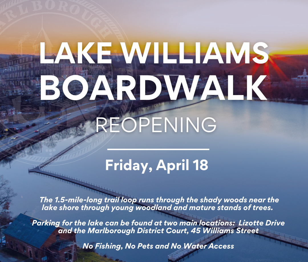 Boardwalk Social Media Graphic