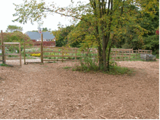 Community Garden